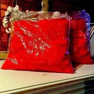 NWT TWO Outdoor Throw Pillows